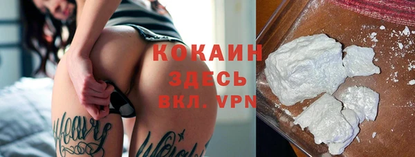 стаф Дмитриев
