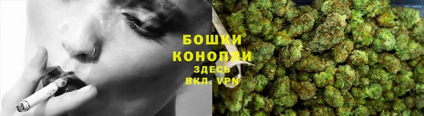 стаф Дмитриев