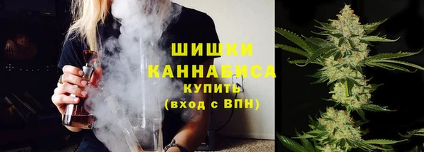 шишки Дмитров