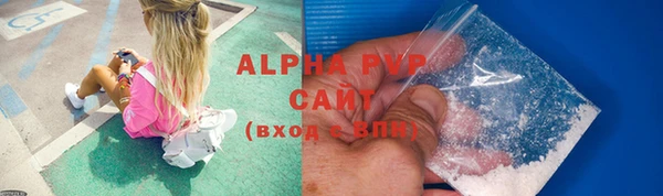 шишки Дмитров