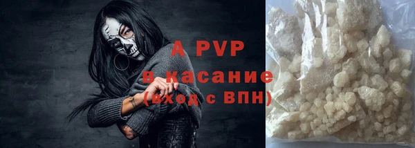 стаф Дмитриев