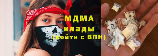 шишки Дмитров