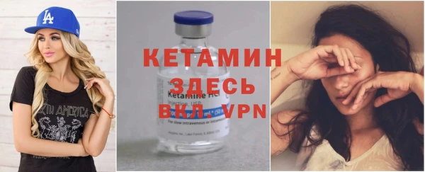 шишки Дмитров