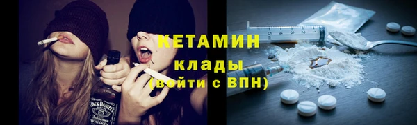 стаф Дмитриев