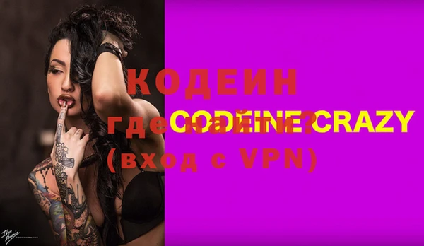 шишки Дмитров