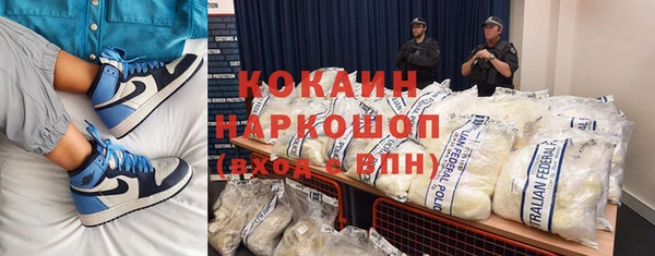 шишки Дмитров