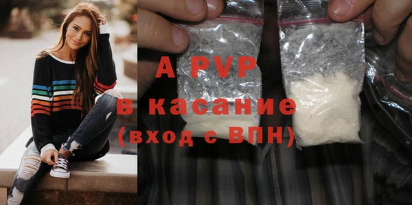 стаф Дмитриев