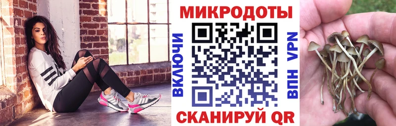 Псилоцибиновые грибы Cubensis  Великий Устюг 
