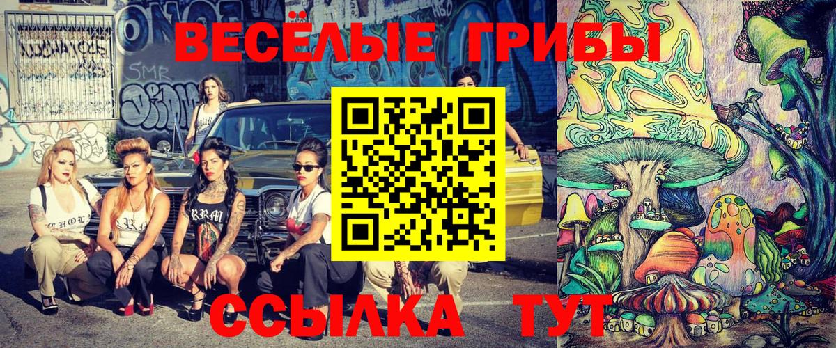 Галлюциногенные грибы ЛСД  купить  цена  Галлюциногенные грибы прущие грибы  Великий Устюг  Вход с VPN 