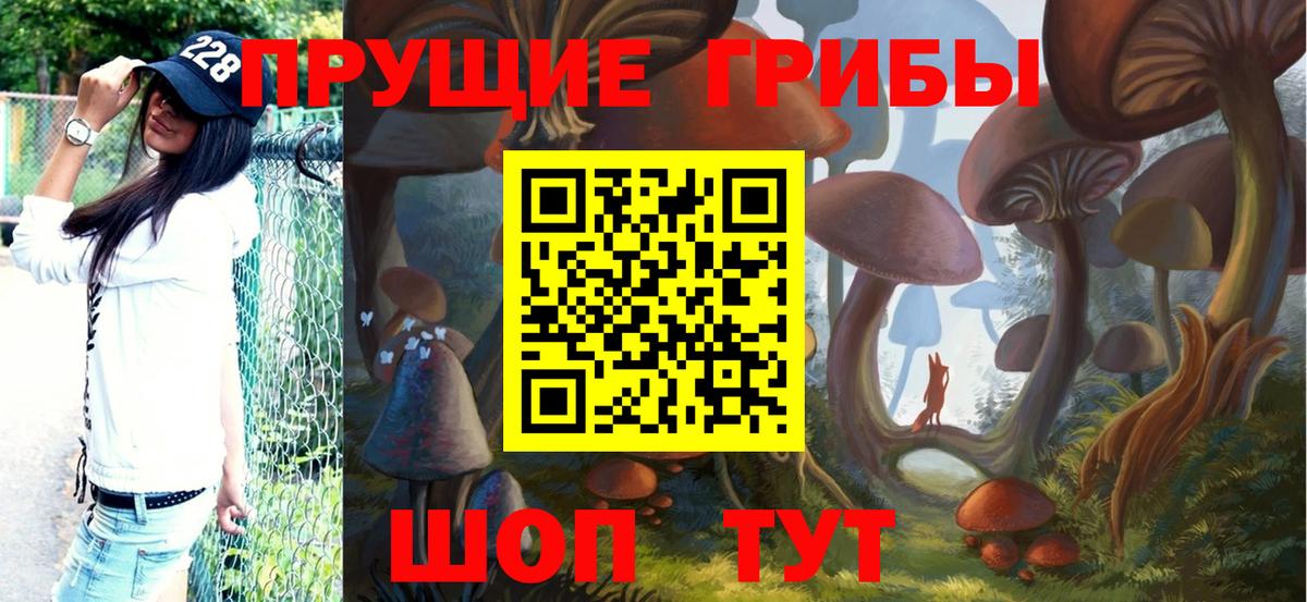купить наркотики цена  Вход с VPN  Великий Устюг  Псилоцибиновые грибы Psilocybine cubensis 