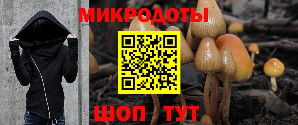 Псилоцибиновые грибы MAGIC MUSHROOMS Великий Устюг