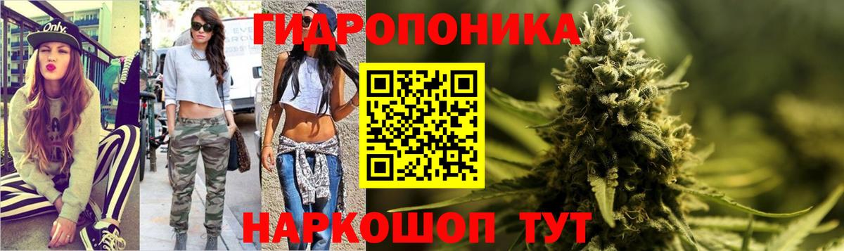 Шишки марихуана семена Великий Устюг